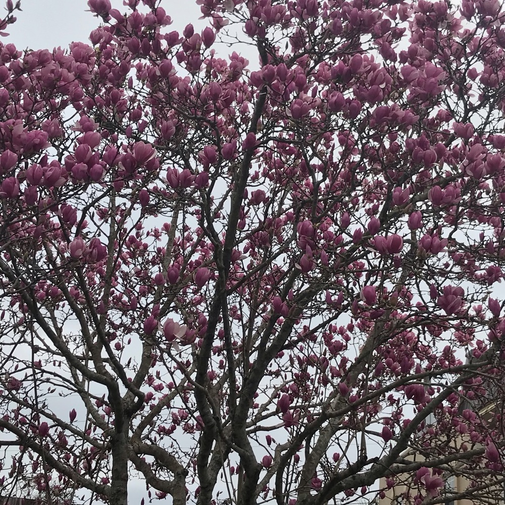 Meet your Posher, Wioleta